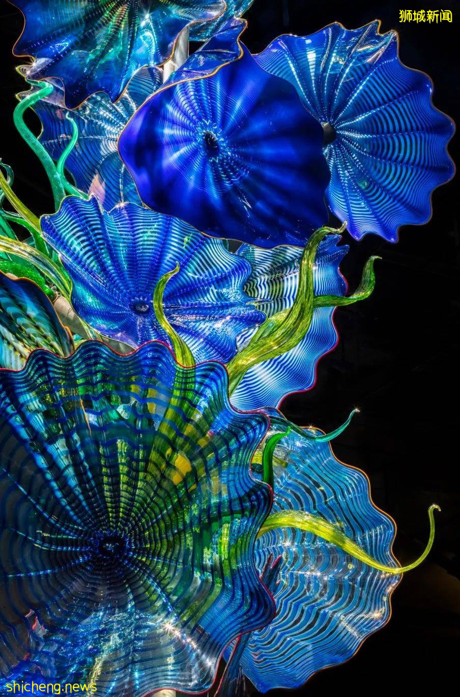 放假去哪玩?亚洲最大玻璃艺术展来新加坡啦