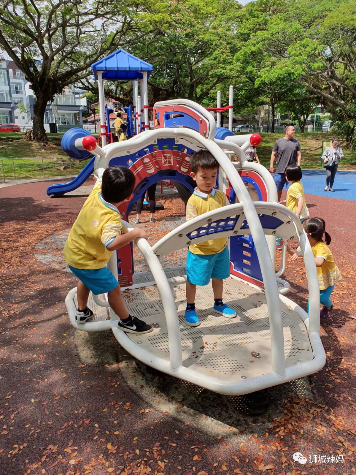 新加坡最好玩的海灘公園!趕海、騎馬、劃艇、樹籬迷宮、燒烤露營,超適合家庭出遊