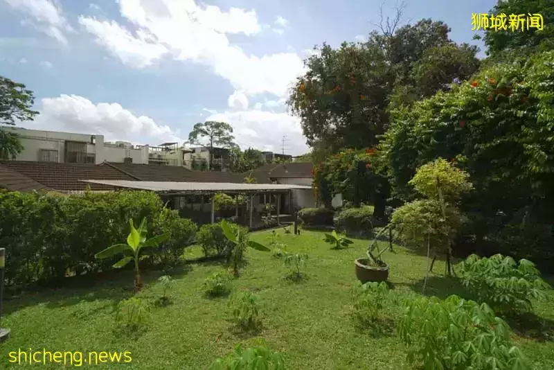 狗血！侵占87岁新加坡富太2亿家产！中国男导游出狱即被驱逐，永不能入境