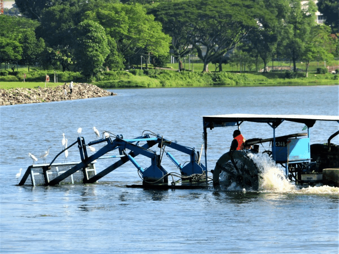 新規劃官宣！跨海長島、混合城市、地下城……未來的新加坡也太科幻了吧