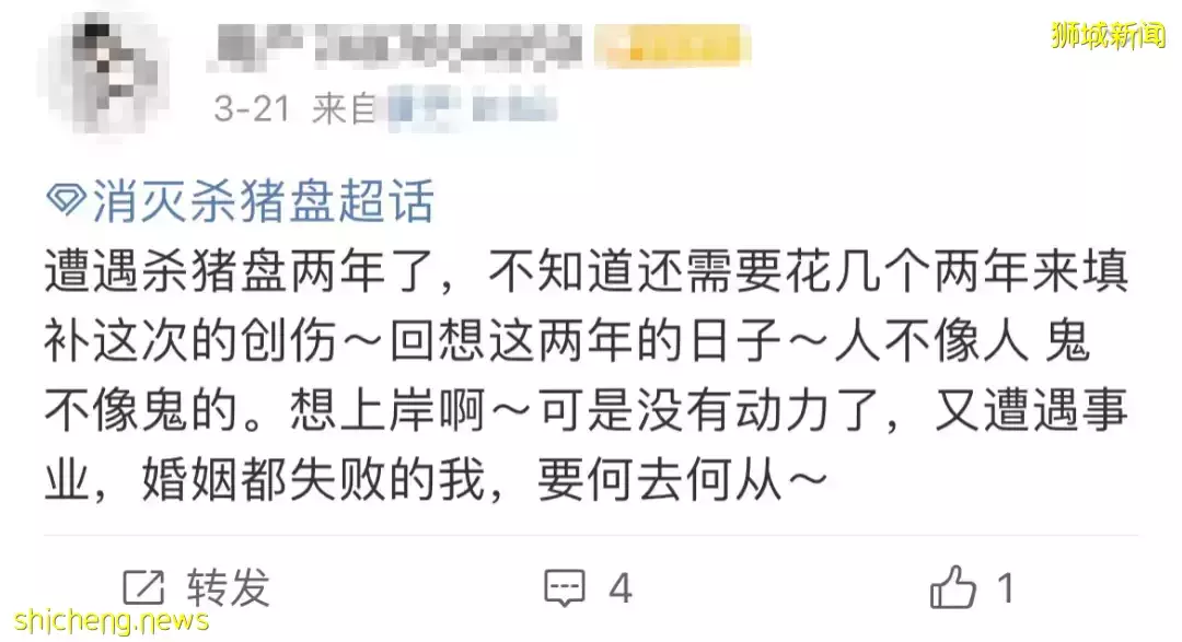 杀猪盘又有新套路！聊天记录曝光，在新加坡的中国人成为目标！他们在线求助