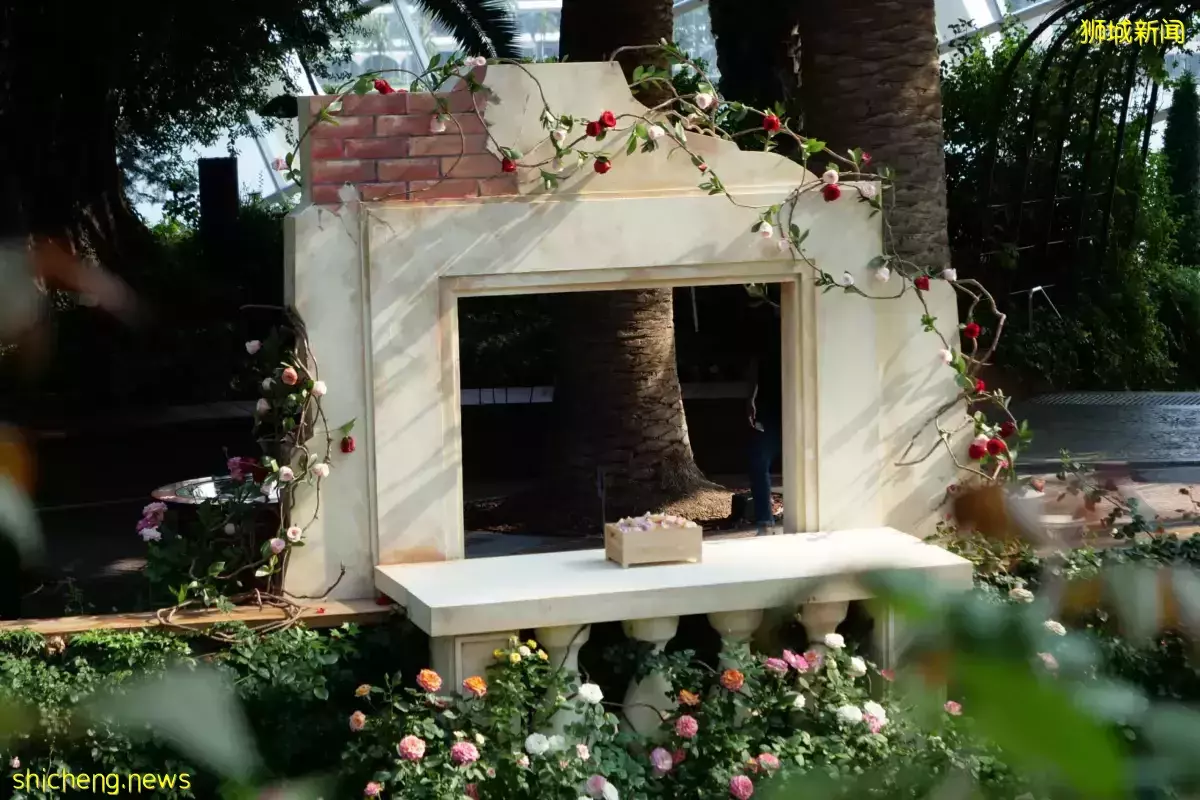 滨海湾花园意使馆合作 展出逾70个玫瑰花品种 