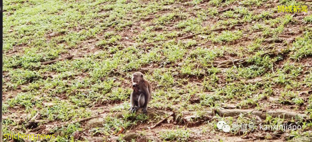 遛娃圣地海军部公园,超多大滑梯,大人孩子一起嗨