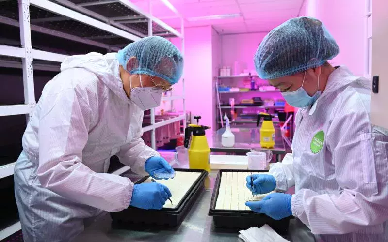 农业科技领域转业计划 未来两年惠及100本地员工