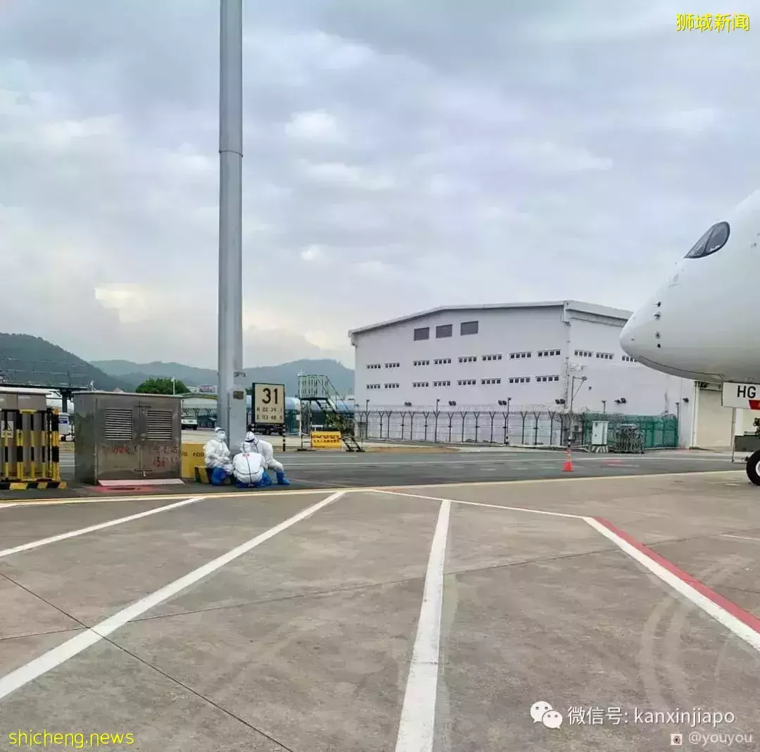 “疫情下往返新中两国,前后71天,隔离餐吃到吐;再次回到新加坡,感觉自由了也危险了”