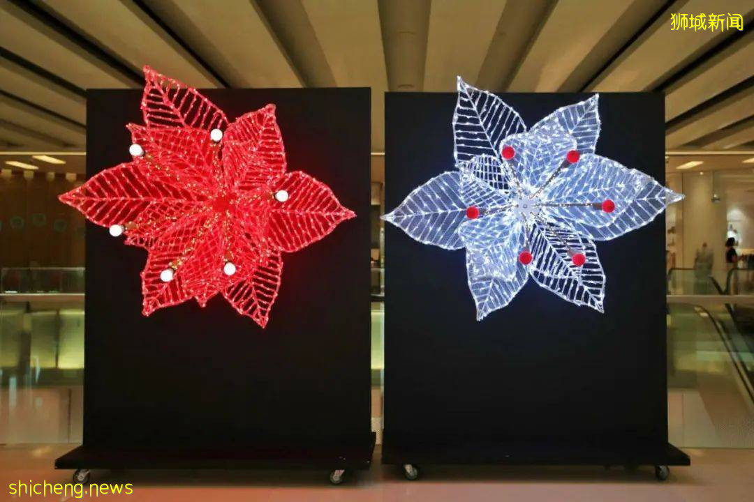新加坡乌节路圣诞季亮灯将于11月13日举行，“花开圣诞”缤纷绽放