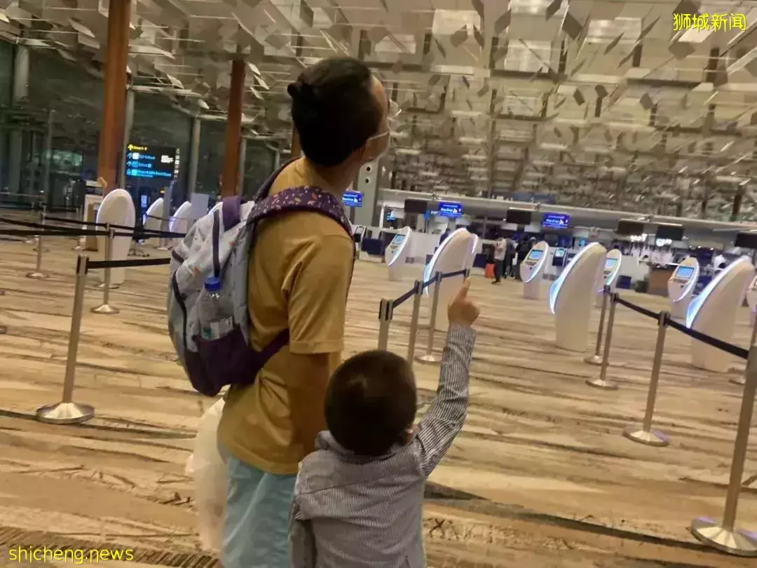 橫跨全島,我娃也要到這裏來玩,這個新加坡最佳遛娃地到底有什麽魅力