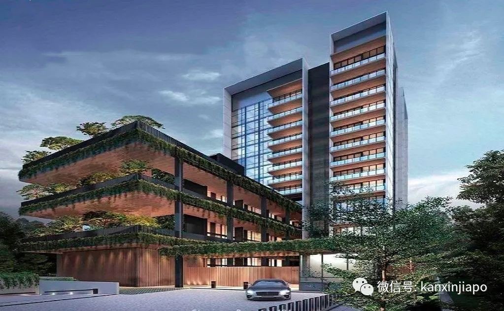 在新加坡,原来还隐藏着这么一类“小而美”的家