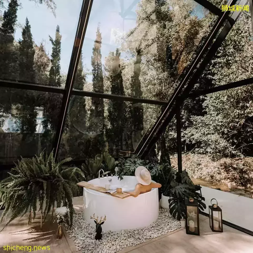 在原始森林裏的精致玻璃屋露營@泰國清邁!超美360度森林景觀、避世豪華享受