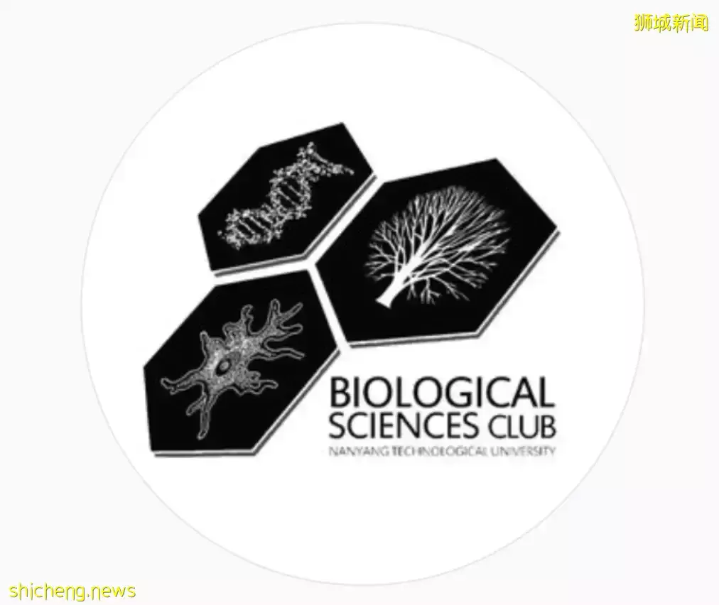 盘点NTU学术类社团！商学院，生物学，传播学，哪个是你的Pick