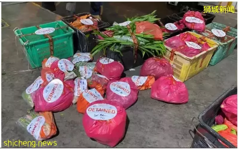 非法进口436.2公斤蔬菜 进口商和董事各罚4250元