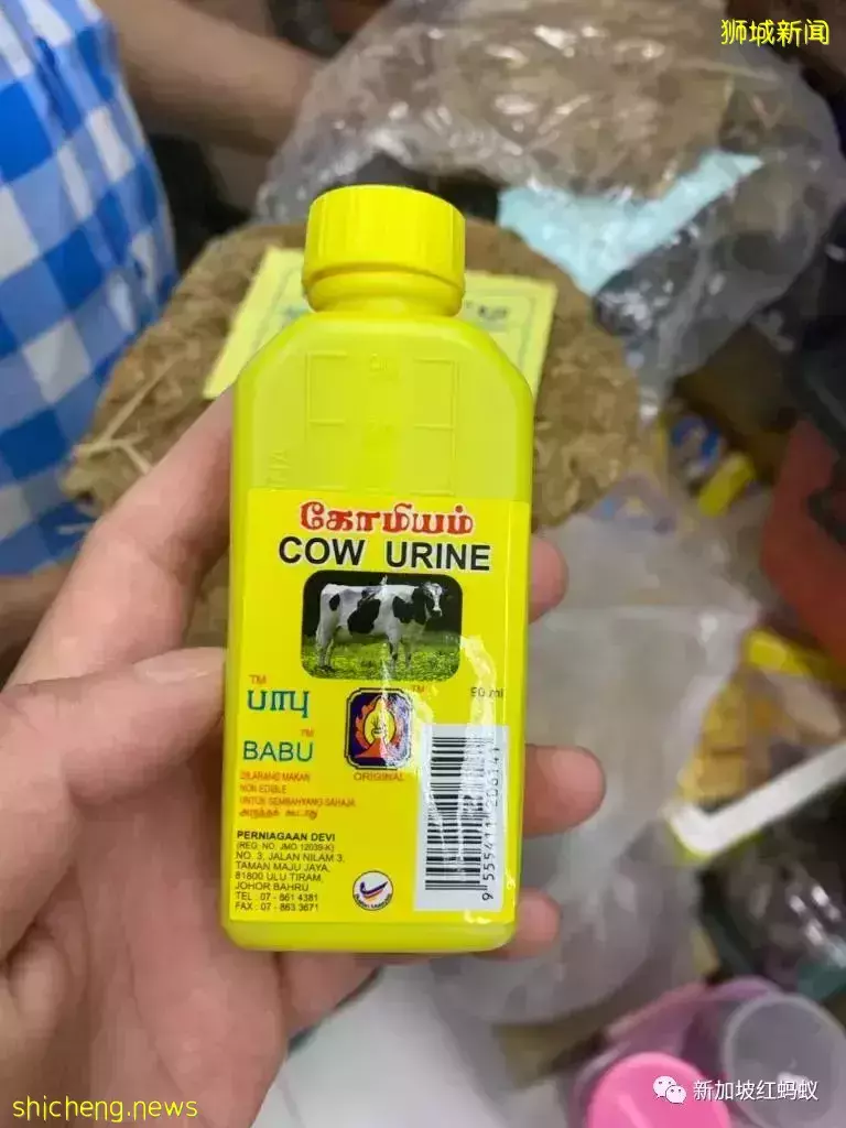 新加坡小印度獵奇:形形色色的人、食物和意外的風景