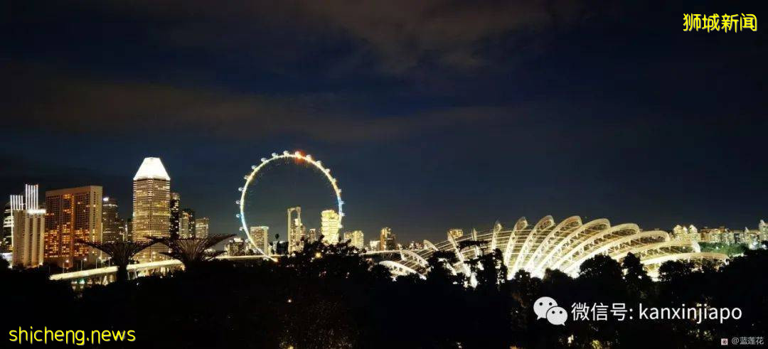 新加坡親子好去處！濱海灣～花穹～雲霧森林～空中步道半日遊