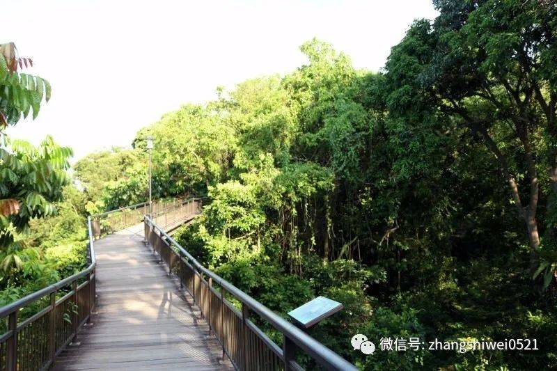 新加坡遊記系列 行走在南部山脊