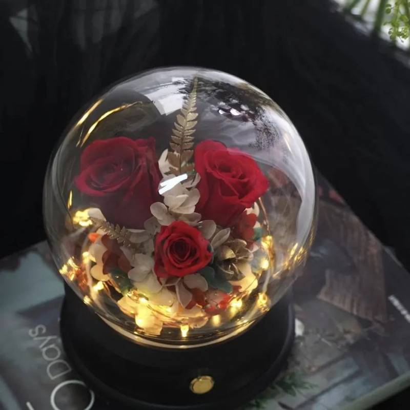 在坡坡的周末不无聊,这些事让你打卡整个夏天