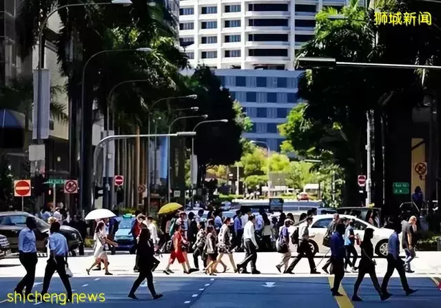 发达的新加坡，竟然随处可见小动物！新加坡冷知识（精选集）