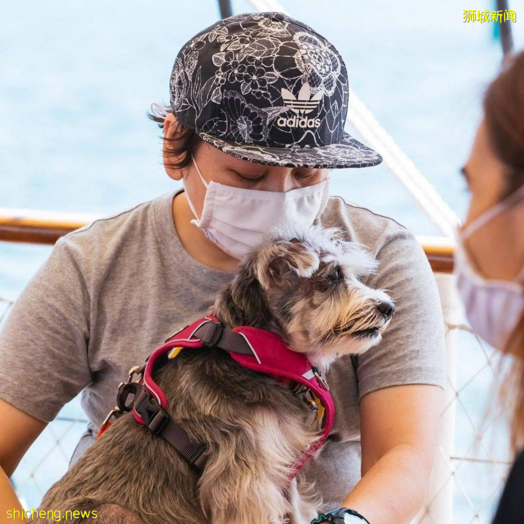 带上宠物去郊游！全亚洲首个“狗狗巡游”就在Royal Albatross⛵️萌宠陪你看日落吃大餐🥰 