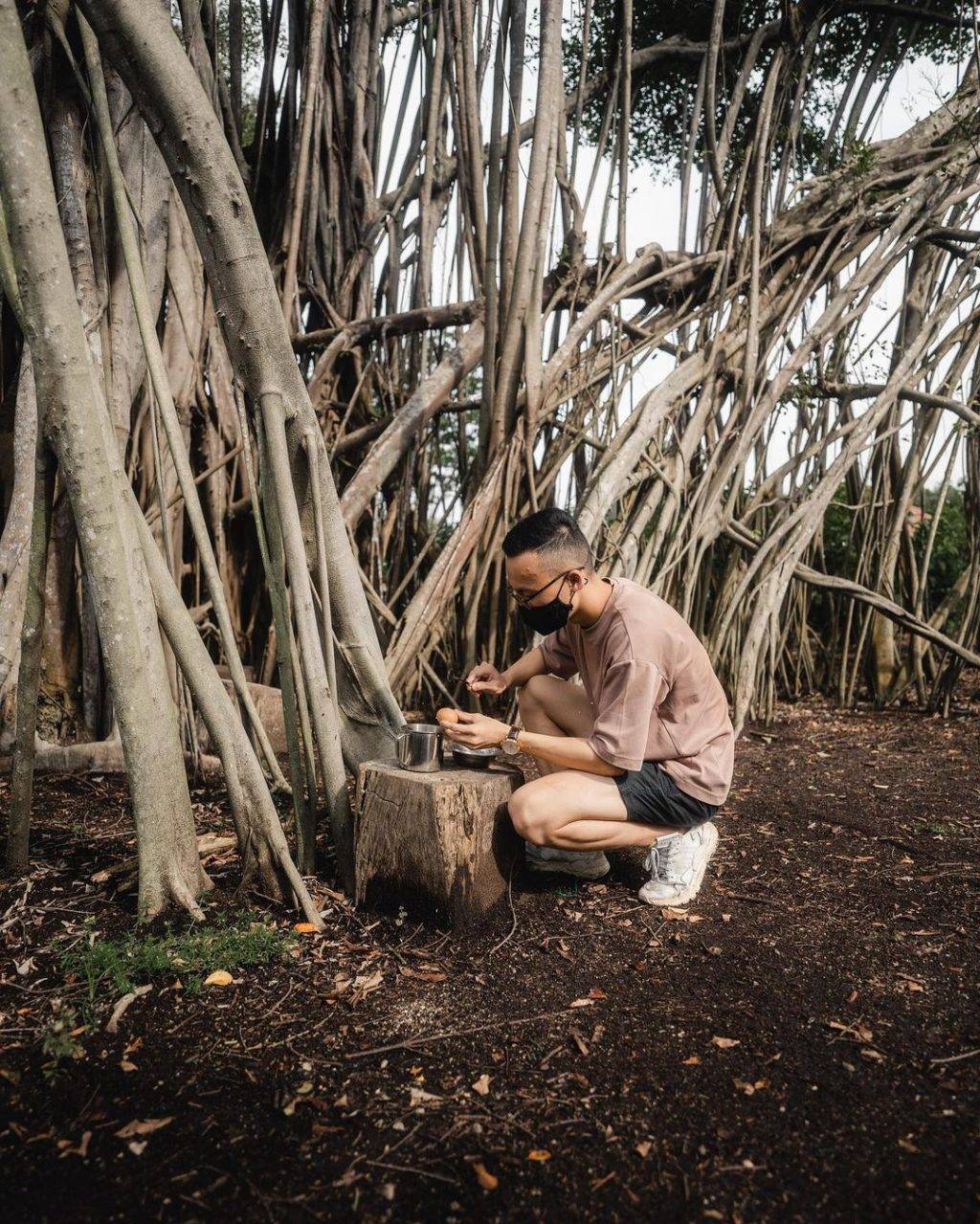 新加坡最美网红树打卡合集🌴壮观古树、根深叶茂,感受大自然的魅力📷