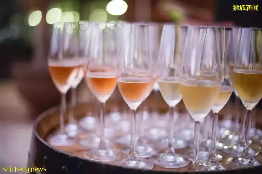 我勸你,千萬別來新加坡