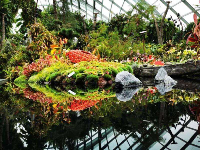 最後悔的一次旅遊經曆:新加坡