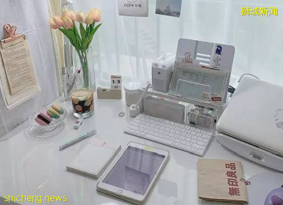 掌握这些细节,一键开启完美新加坡留学生活