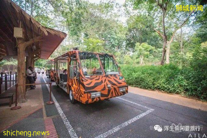 新加坡拍照聖地!