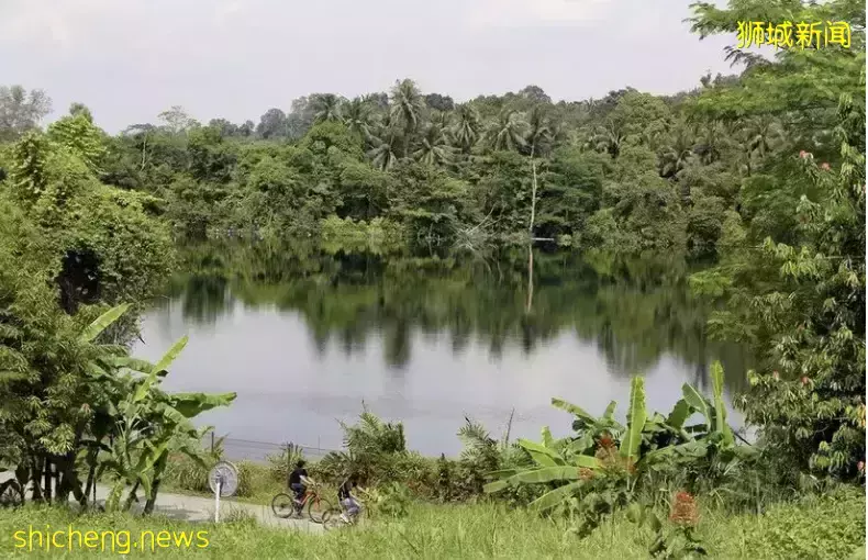 戶外徒步新去處！新加坡新開的7個公園你都遛過了沒