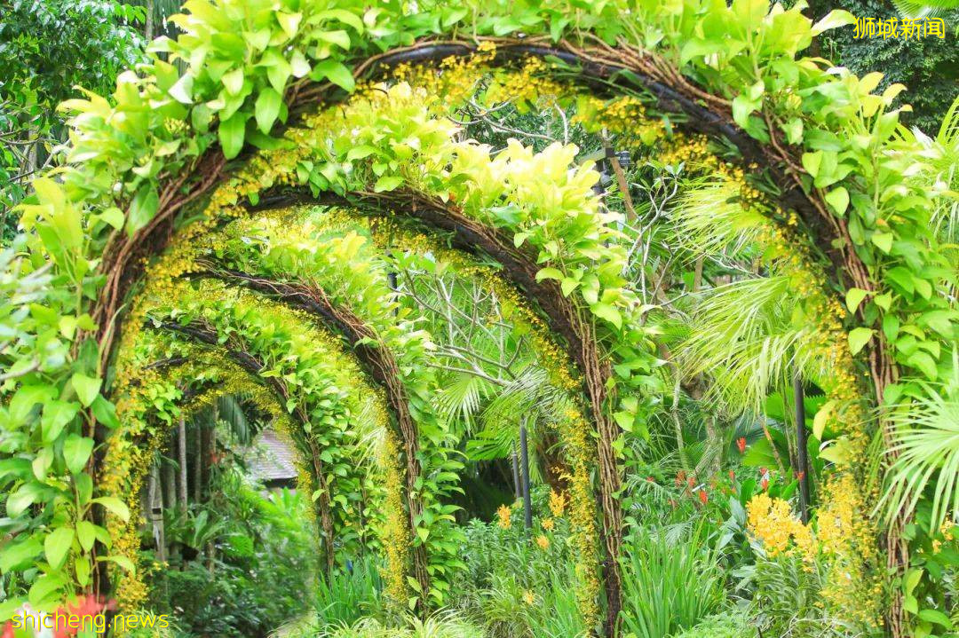 漫步獅城 花園城市體驗生態魅力