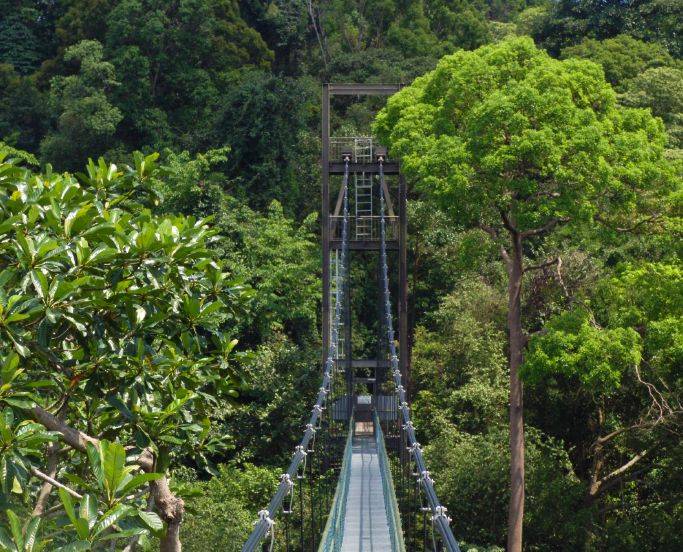 新加坡留學 你永遠都不會知道的關于新加坡的25個冷知識，知道五個算我輸