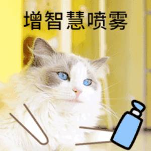 新加坡冒充中國公安詐騙案激增！損失超過1100萬新幣