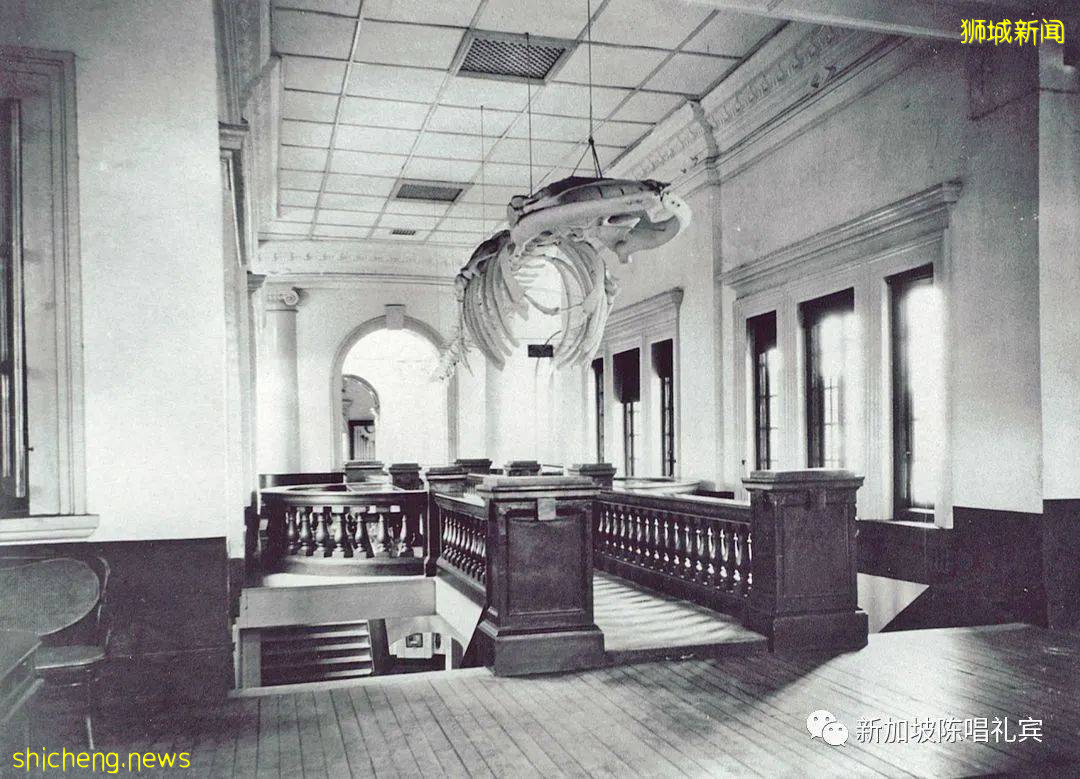 新加坡国家博物馆  你不知道的7件事情