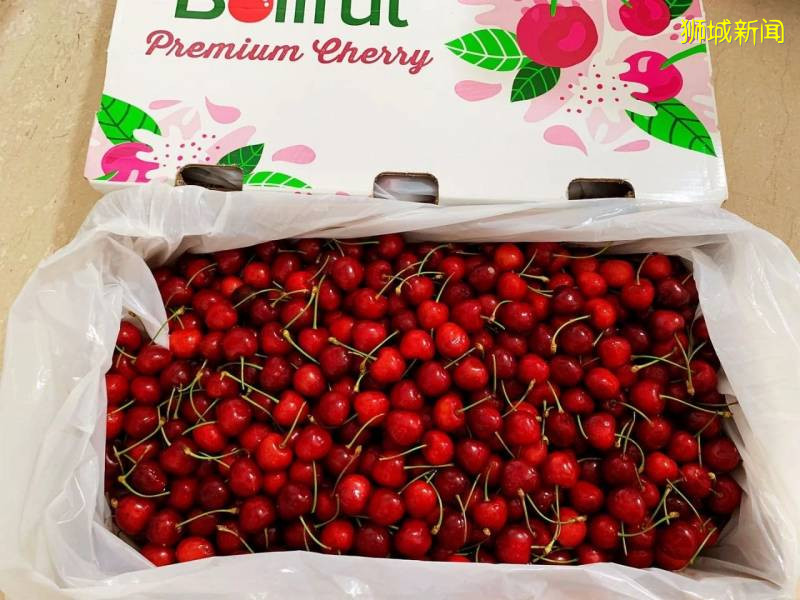 生鮮蔬果産地直送新加坡！送$19新幣，還免運費