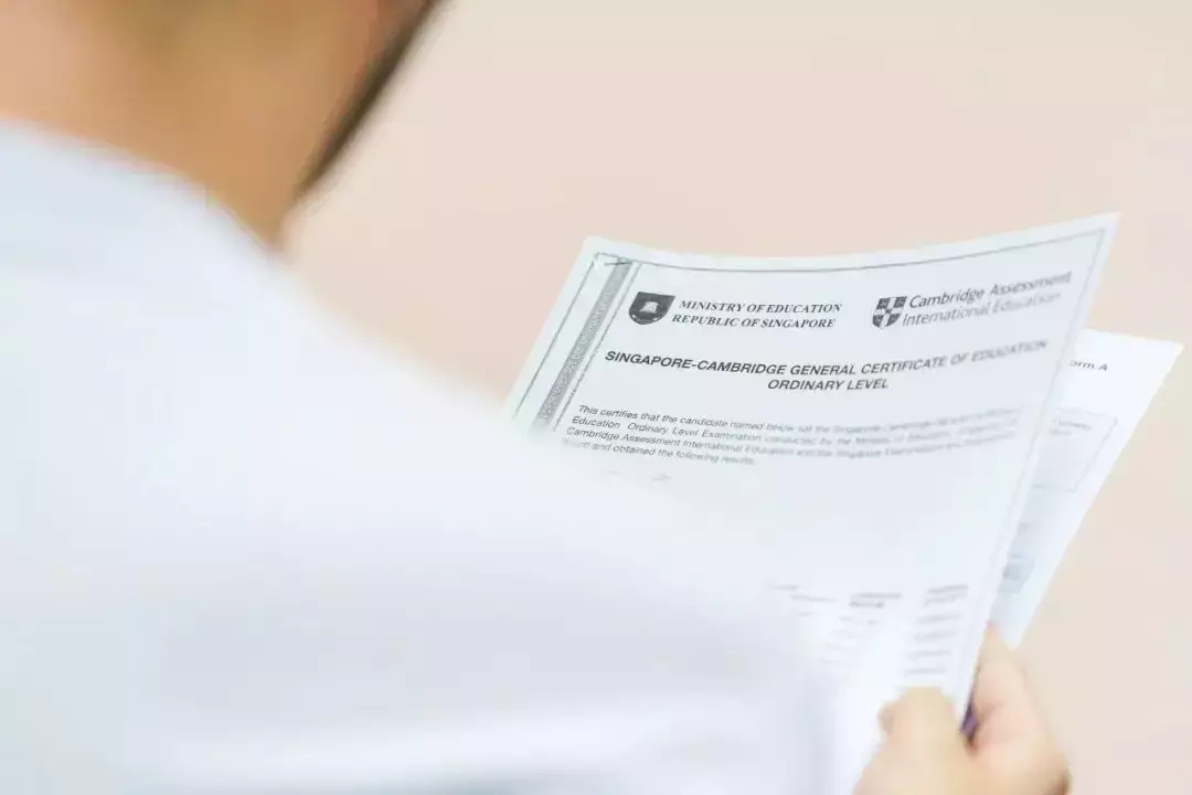 創20多年新高!新加坡O水准放榜詳情出爐,重要通知來啦