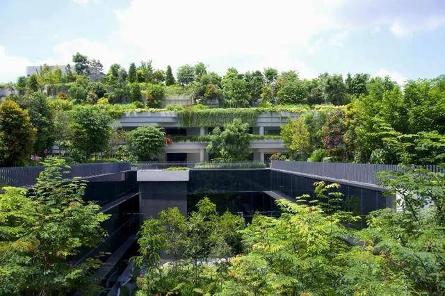 新加坡人对绿色有多着迷?公交车顶种草,大楼里植树,实在绝了