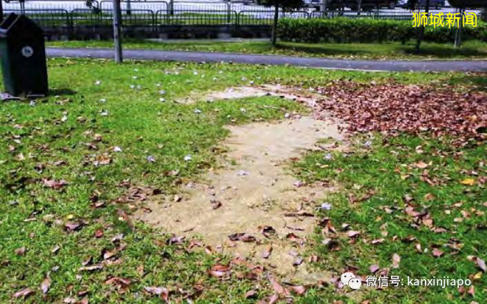 醉酒男子焚烧国旗被判刑：称自己从小被虐待