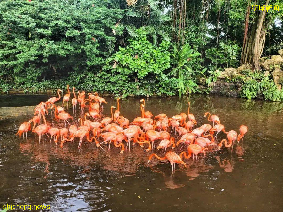 【周末去哪】USS熱帶新主題、$29起鳥園年卡、5折海鮮自助餐，2.5折小CK！好禮免費送