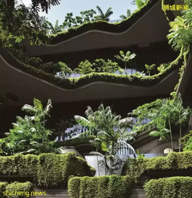 让“碳中和”城市化？亚洲最绿色城市是这么做的