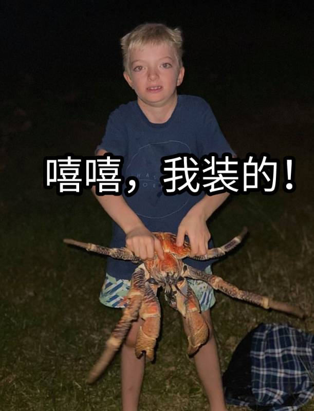 突發！這個海灘驚現一群巨型椰子蟹，還搶燒烤吃！新加坡也被鳄魚、蜥蜴、蟒蛇、水獺、猴子、野豬、野雞嚇到過