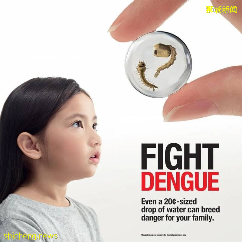 今增347，累計40197 | 新加坡骨痛熱症創下曆史新高，高峰期可達5個月!