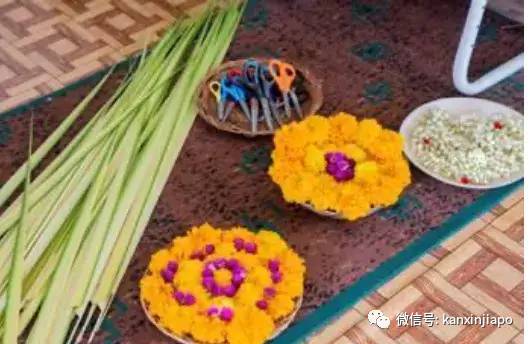 新加坡也过“丰收节”,地道印度族风情就近体验指南