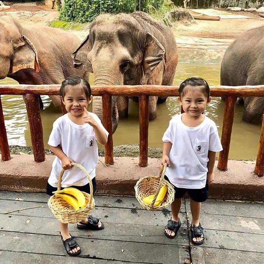 红点虽小,无障俱全 障碍群体旅游首选