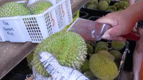 新加坡榴梿全攻略！實拍挑戰芥末和燒烤榴梿！太刺激了