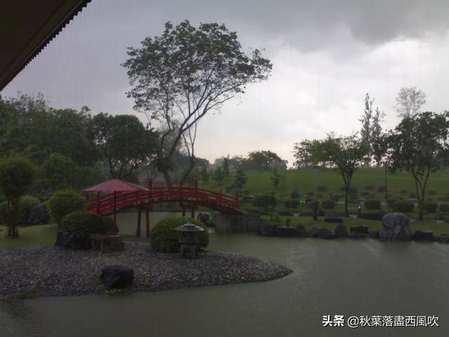 下月起，可以飞去新加坡旅游了。这些冷门免费地方值得一去