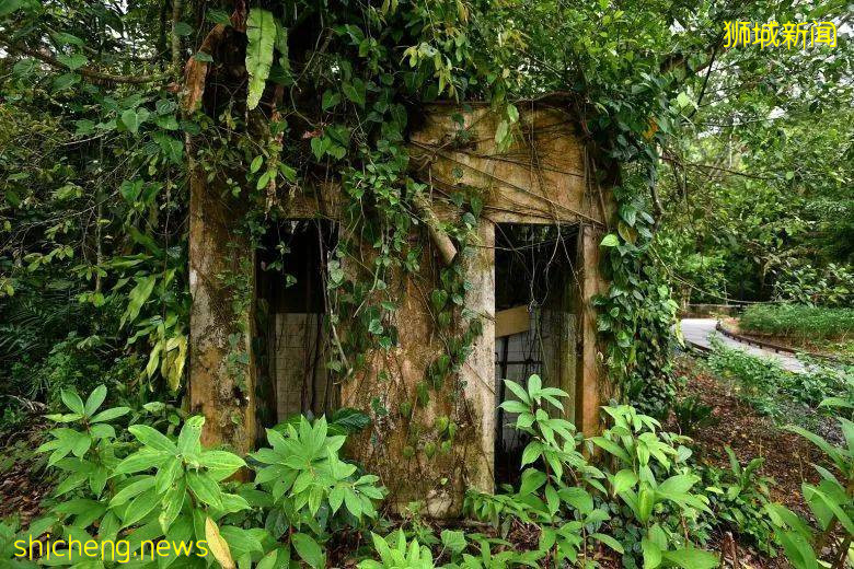 人少景美！新加坡5个自然公园推荐，第一个就心动了