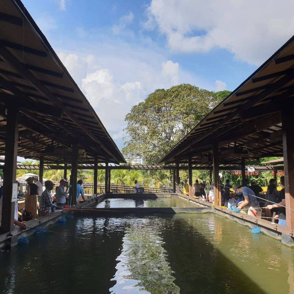 新加坡“垂釣”中心，釣蝦、魚、蟹好去處🐟🦐🦀️ 現釣現烤現吃+冷氣房釣蝦+24小時營業