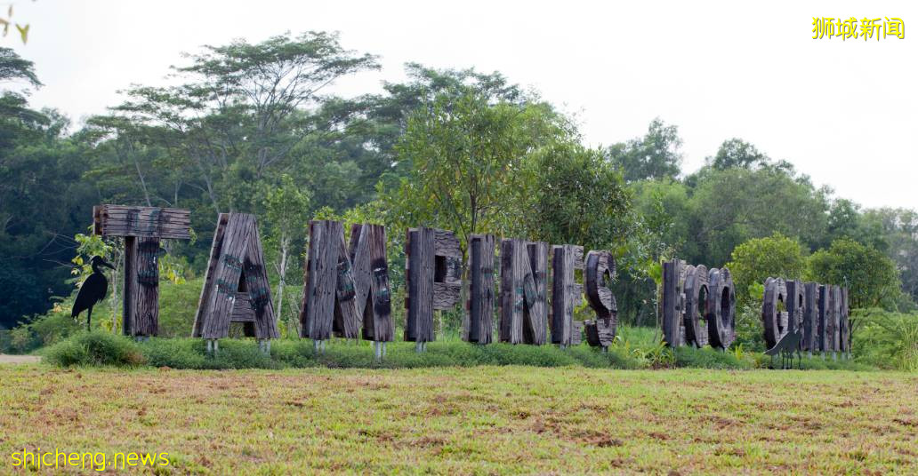 人少景美！新加坡5个自然公园推荐，第一个就心动了