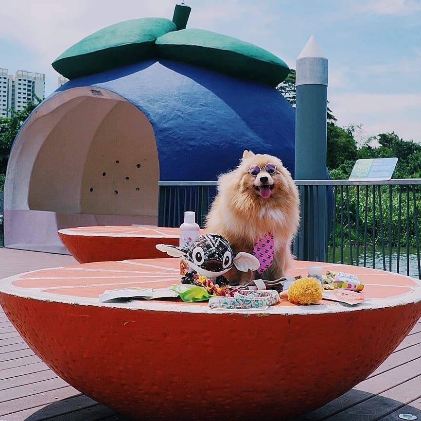 短程徒步地“徒”出不一樣的風景🌤 精選7大少于30分鍾的徒步路線!海邊漫步、登高望遠都是小意思