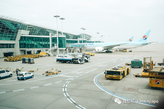 樟宜机场失去最繁忙机场封号；北京、上海靠国内航线遥遥领先