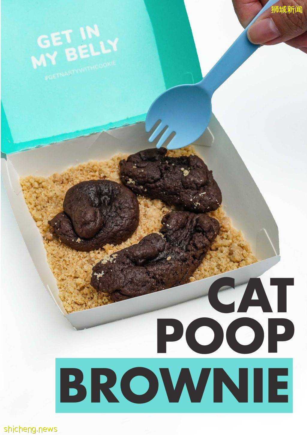 Nasty Cookie推出神似“貓屎”布朗尼甜點，打死我也不會吃，快來整蠱朋友