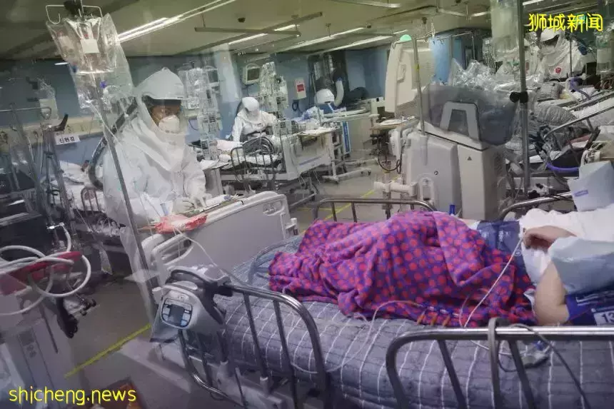 韩国失控!“共存”45天后紧急叫停!新加坡现24例奥密克戎,张文宏预测明年恢复正常生活